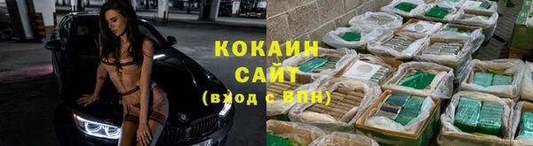 индика Армянск
