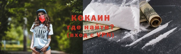 индика Армянск