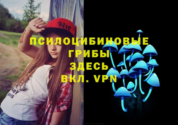 первитин Арсеньев