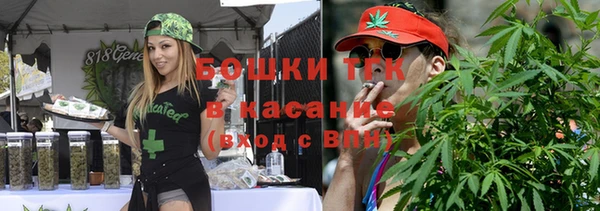 индика Армянск