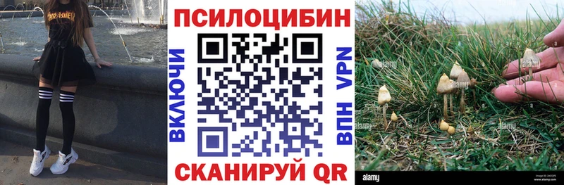 Купить где  Раменское  Псилоцибиновые грибы GOLDEN TEACHER 